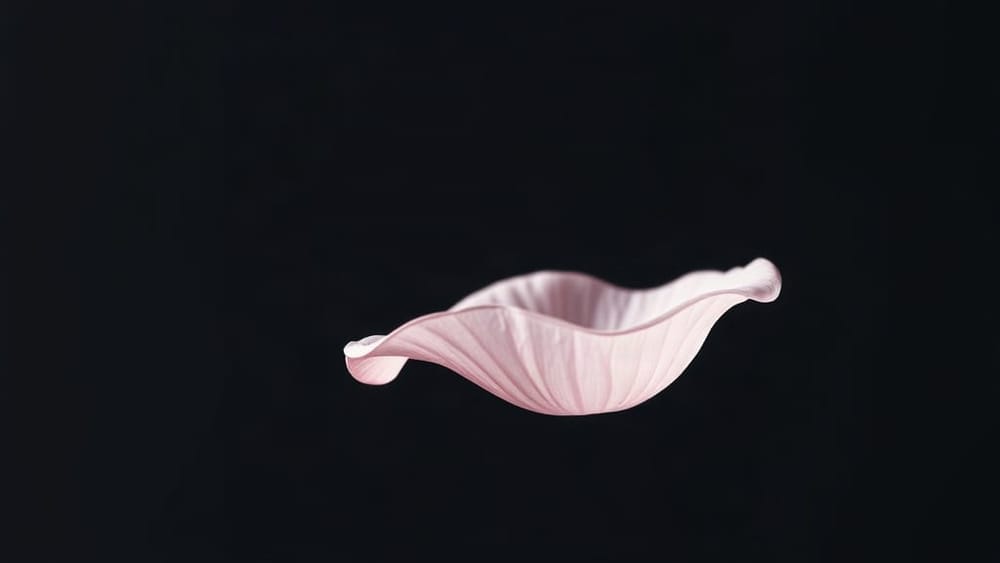 Ariana Grande's Petal — Four Weeks In and Still Commanding the Feed