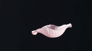 Ariana Grande's Petal — Four Weeks In and Still Commanding the Feed